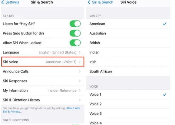 怎么在苹果 iOS 14.5 中更改 Siri 的声音-多听号