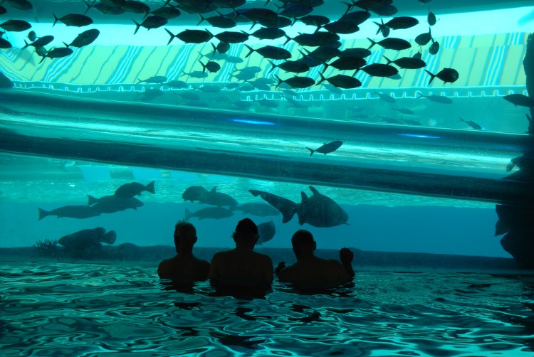 世界上最令人惊叹的10个游泳池-多听号