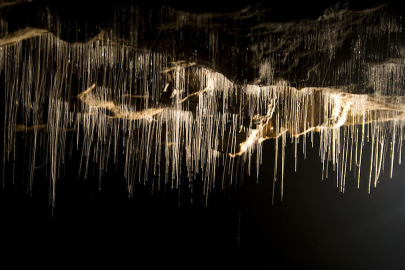 十大世界最大地下洞穴，最长2300英尺-多听号