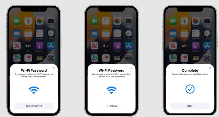 苹果手机怎么看已连接和共享wifi密码-多听号