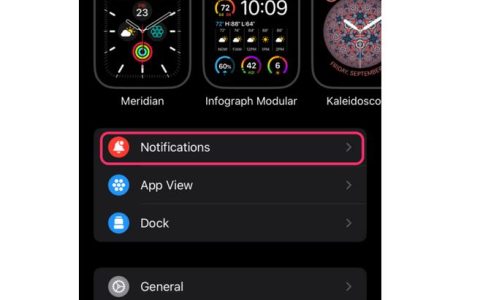 怎么在苹果手表上关闭通知，而不是在iPhone上
