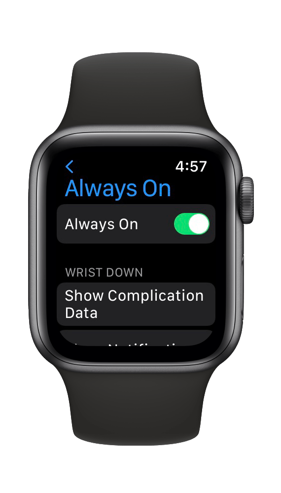 在 Apple Watch 设置中始终开启