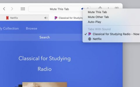 怎么在Safari关闭网站上的音频（Safari浏览器静音设置）