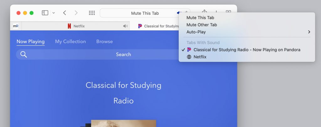 Safari 中的音频菜单选项