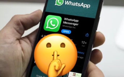 如何在WhatsApp上隐藏在线状态以保护您的隐私