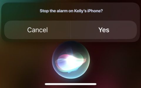 使家庭成员iPhone/iPad上的闹钟静音