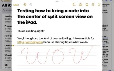 如何在iPad的分屏视图中打开居中的笔记