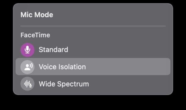 在Mac上通过FaceTime使用语音隔离