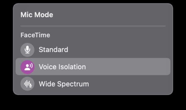 在Mac上通过FaceTime使用语音隔离