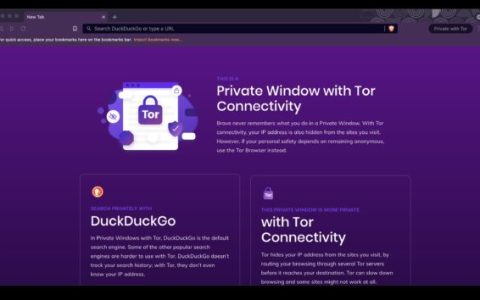 如何在Brave中使用Tor的私密模式（浏览器隐藏IP地址私隐设置）