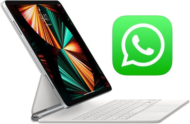 如何在iPad上使用WhatsApp，简单5个步骤