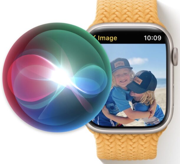 苹果手表关闭Siri的具体步骤，Apple Watch上停止“Hey Siri”收听