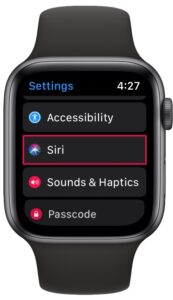 如何在Apple Watch上使用Siri播报消息