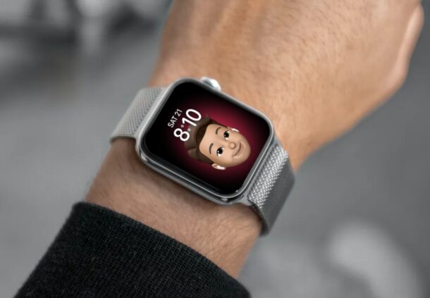 苹果手表拟我表情在哪里设置，apple watch使用表情表盘-多听号
