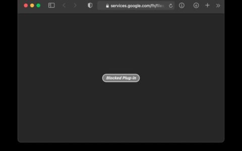 如何在Mac上修复“被阻止的插件”PDF Safari 错误