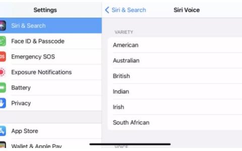苹果iPhone和iPad怎么更改Siri的声音
