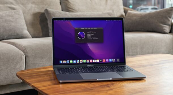 MacOS Monterey新功能12个你可能不知道的技巧