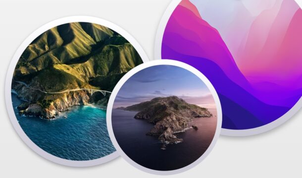 MacOS Monterey禁用“自动安装macOS更新”方法
