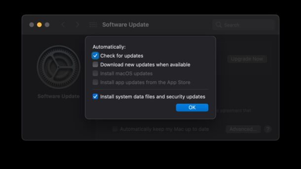 MacOS Monterey禁用“自动安装macOS更新”方法