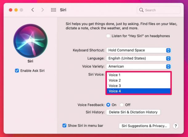 如何在Mac上更改Siri语音（苹果笔记本选择不同的Siri语音）