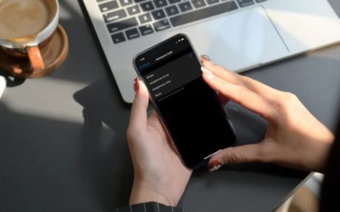 怎么在iPhone通话中设置来电提醒