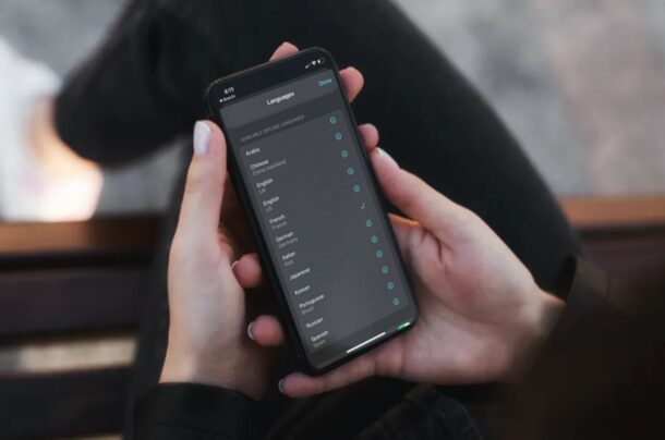 如何通过下载语言在iPhone和iPad上使用离线翻译
