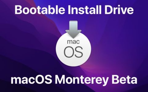 [苹果教程]制作macOS Monterey 启动U盘安装