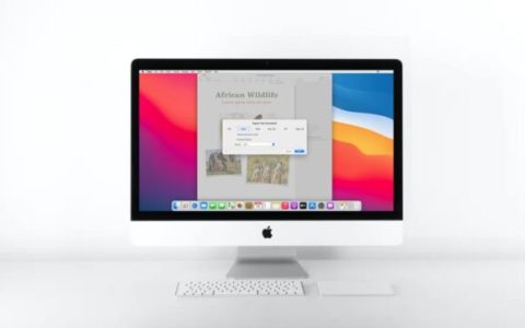 如何在Mac(苹果电脑)上将页面转换为Word