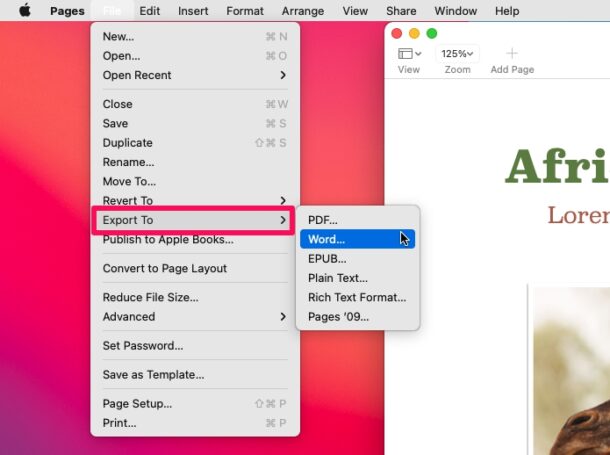 如何在Mac(苹果电脑)上将页面转换为Word
