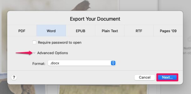 如何在Mac(苹果电脑)上将页面转换为Word
