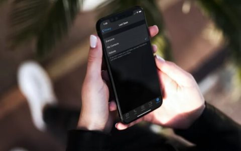 如何在iPhone隐藏WhatsApp“最后一次看到”状态