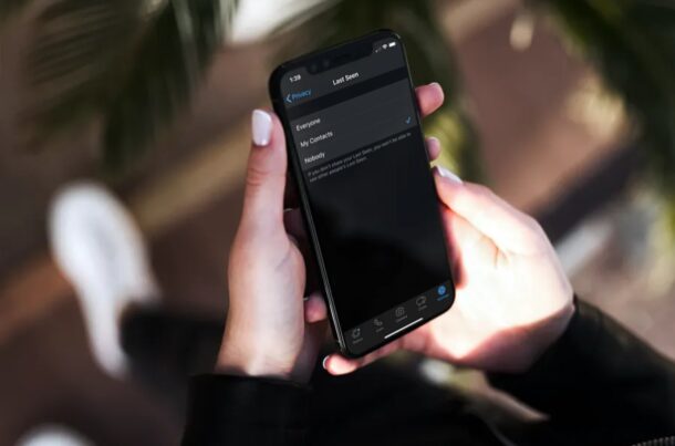 如何在iPhone隐藏WhatsApp“最后一次看到”状态