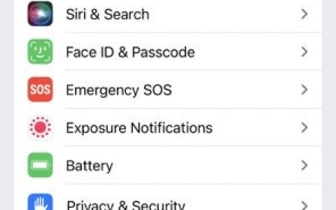 如何自定义可以在iOS上使用Face ID的操作