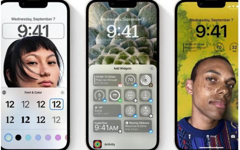 如何在iPhone锁屏和主屏幕上设置不同的壁纸（iOS16）