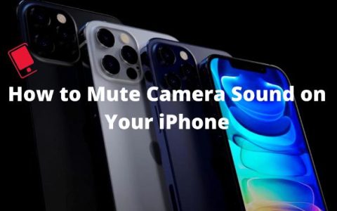 如何在iPhone14上静音相机快门声音