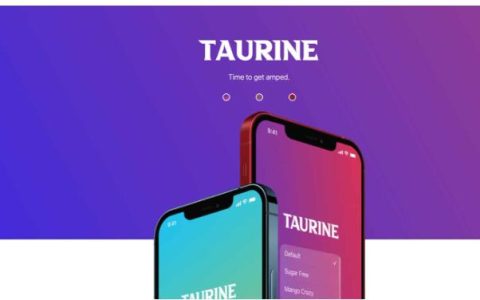 如何在iPhone运行iOS14 Taurine越狱工具（苹果教程）