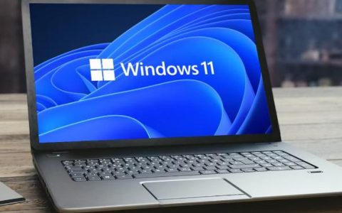 Windows11中的文件资源管理器选项卡