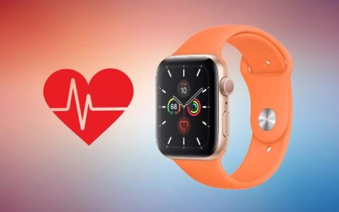 Apple Watch如何测量心率及其准确性的解释