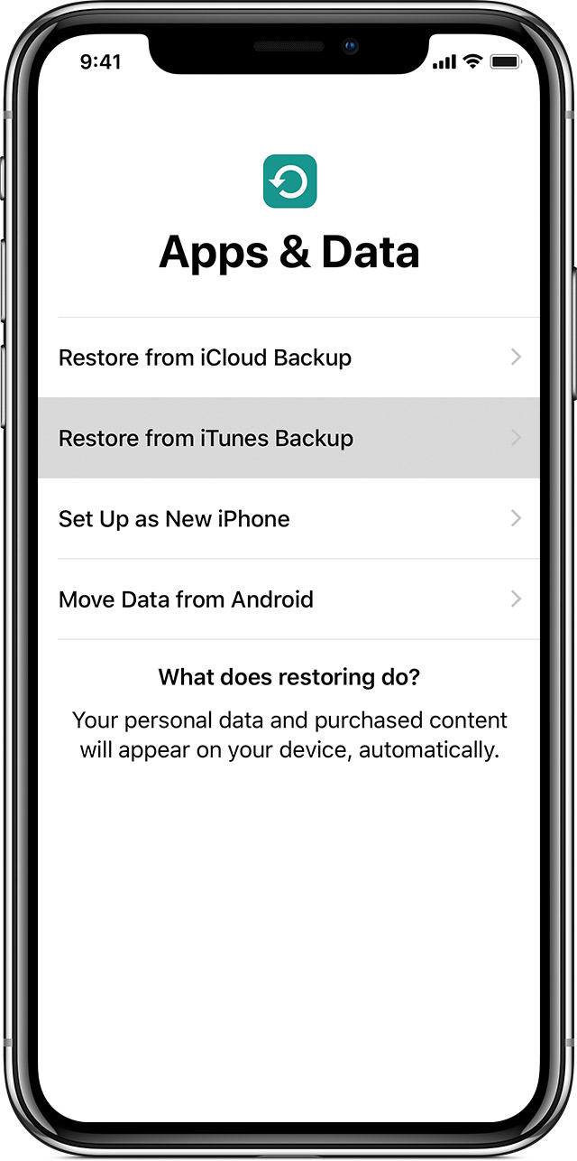 iPhone 恢复数据 iTunes - 选项