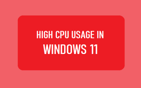 Windows11中的高CPU使用率：如何修复？
