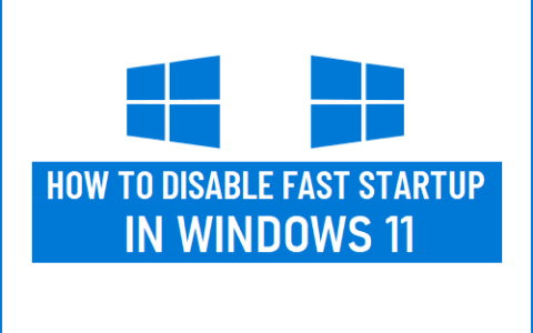 如何在Windows11中禁用快速启动，11简单设置方法