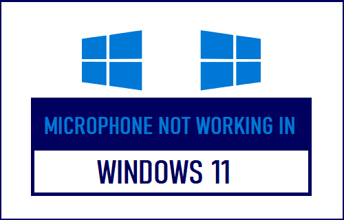 麦克风不工作 Windows 11