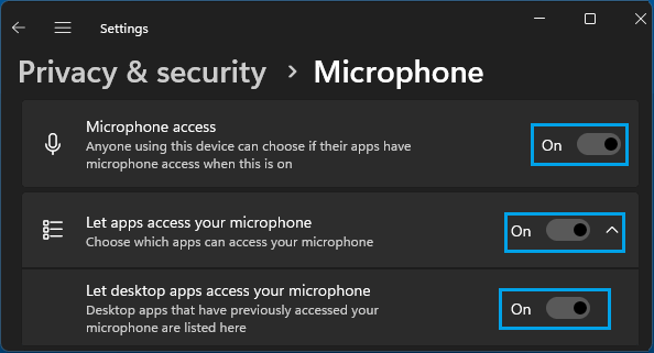 允许应用程序访问 Windows 11 中的麦克风选项