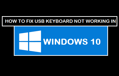 USB 键盘在 Windows 10 中不起作用