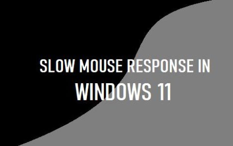 修复Windows11中鼠标响应缓慢