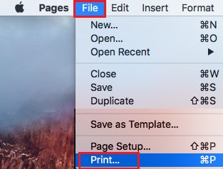 Mac 上的打印文件选项
