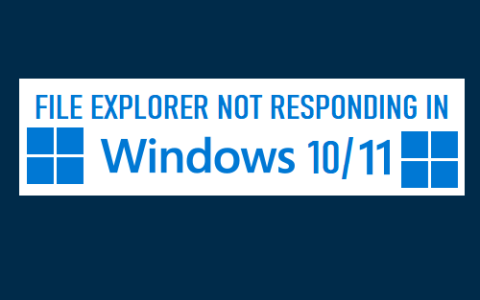 文件资源管理器在Windows11/10中没有响应