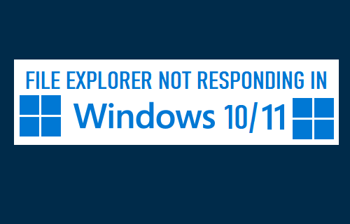 文件资源管理器在 Windows 10/11 中没有响应