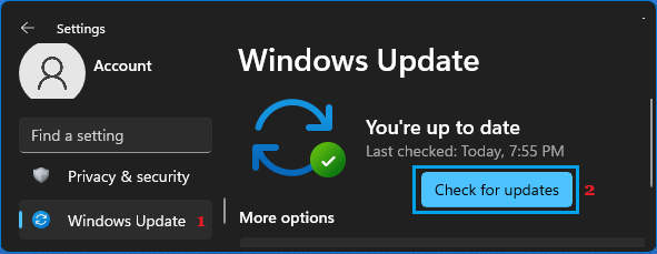 在 Windows 中检查更新选项