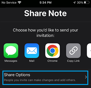 iPhone 上的共享笔记设置选项